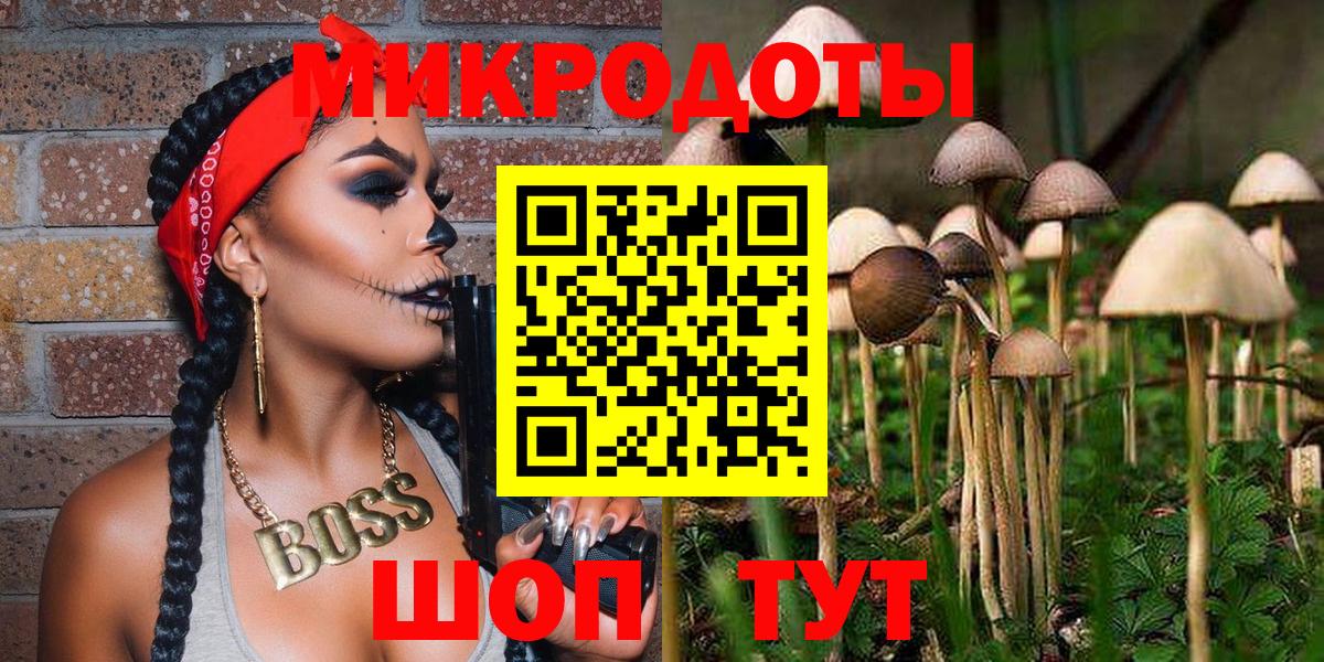 Псилоцибиновые грибы Psilocybe Скопин