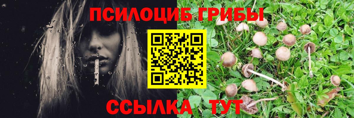 Скопин  Галлюциногенные грибы ЛСД  Галлюциногенные грибы Psilocybine cubensis  купить  цена  Вход с VPN 